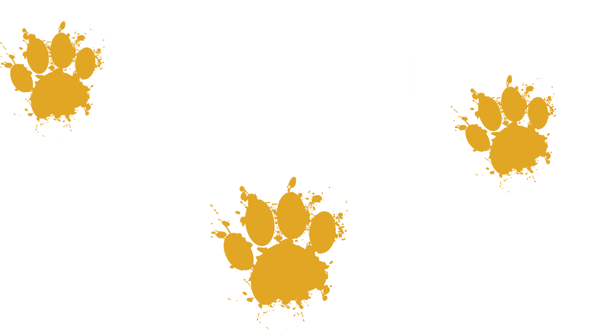2026-04 Tigers - GW