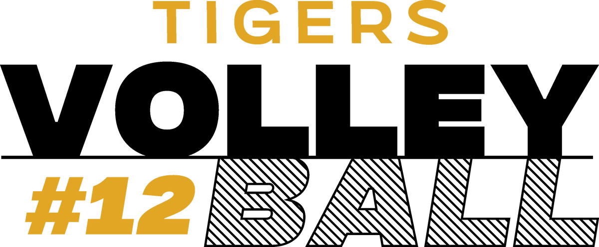 2026 Tigers Volleyball-2 BG