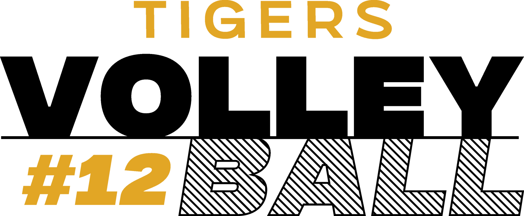 2026 Tigers Volleyball-2 BG