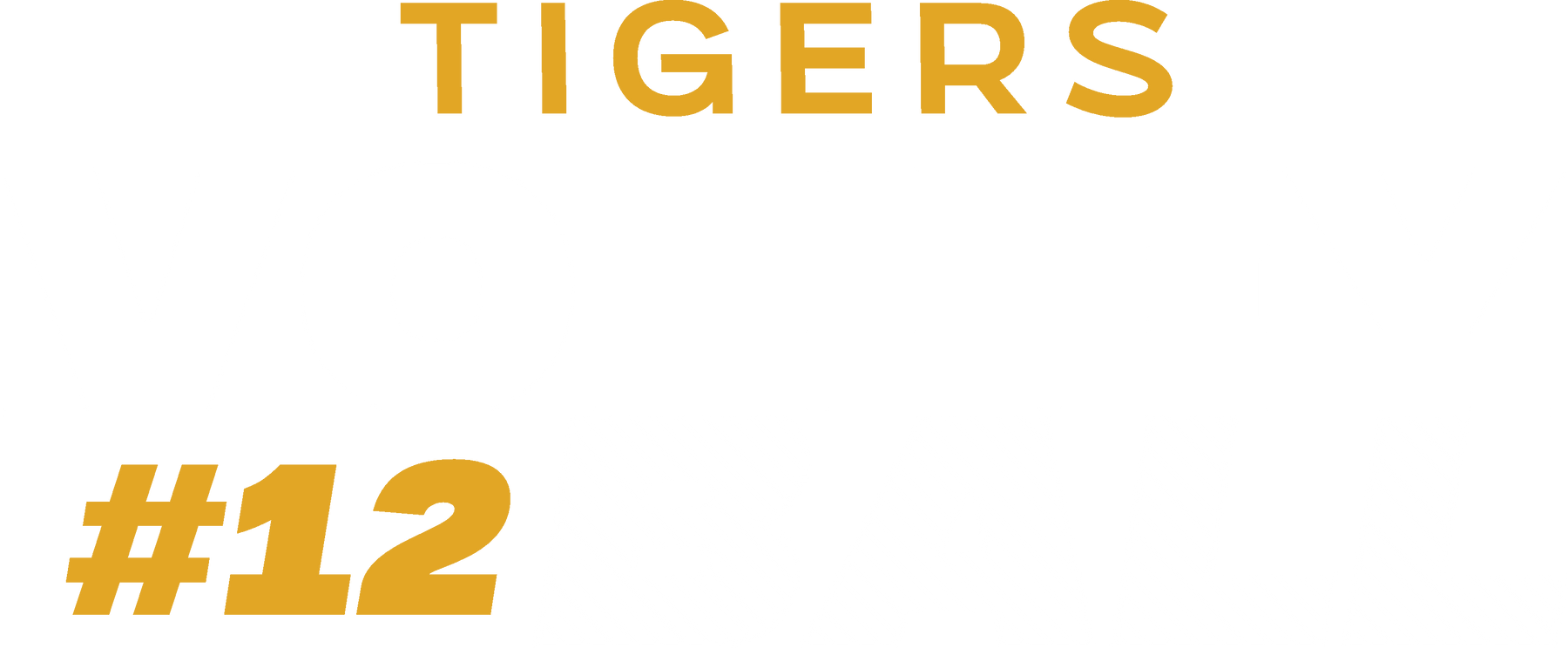 2026 Tigers Volleyball-2 GW