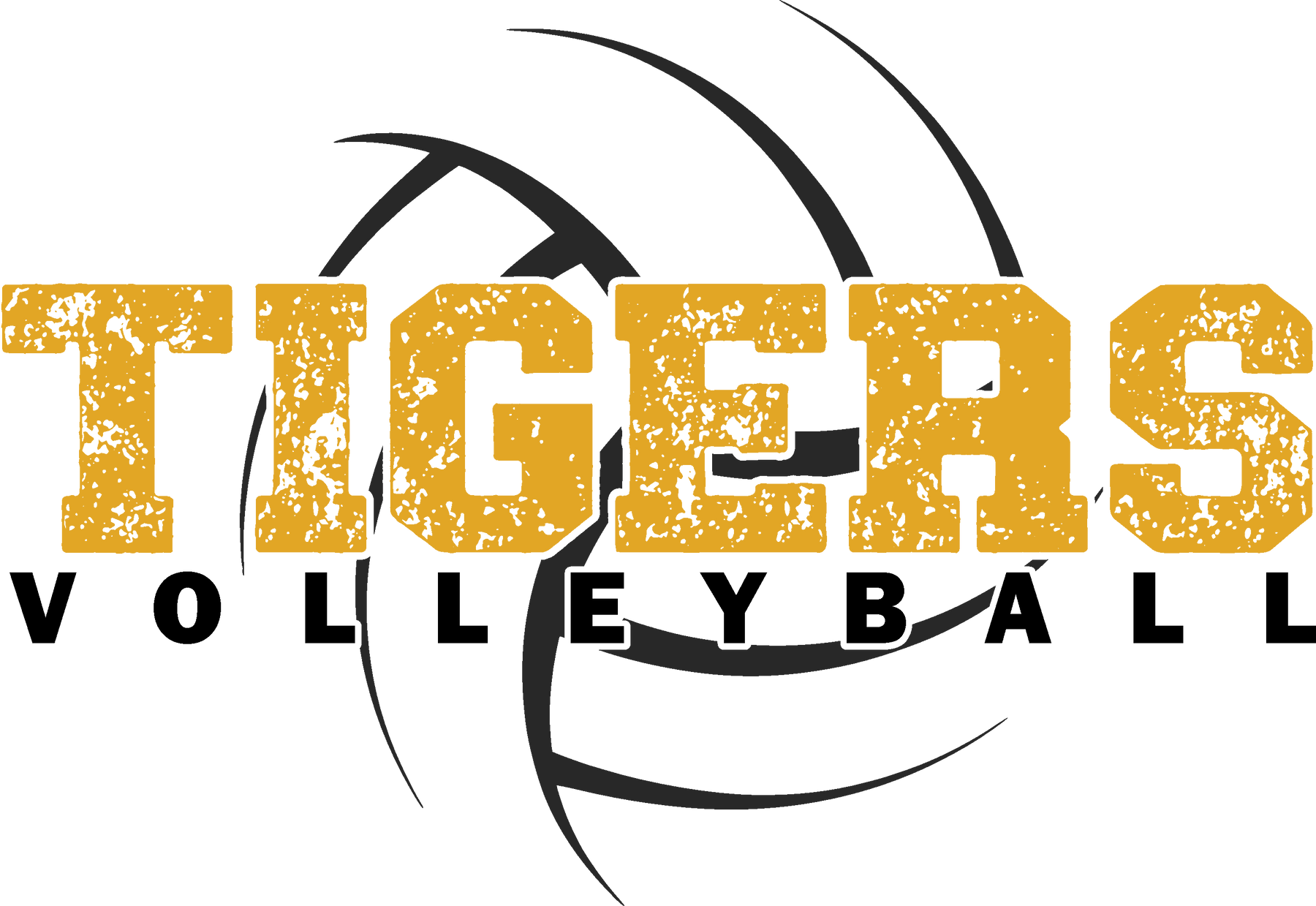 2026 Tigers Volleyball-3 BG