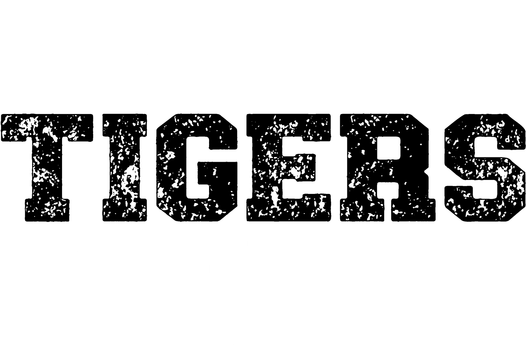 2026 Tigers Volleyball-3 BW