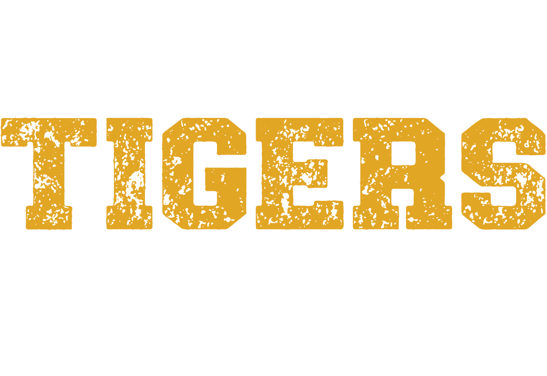 2026 Tigers Volleyball-3 GW