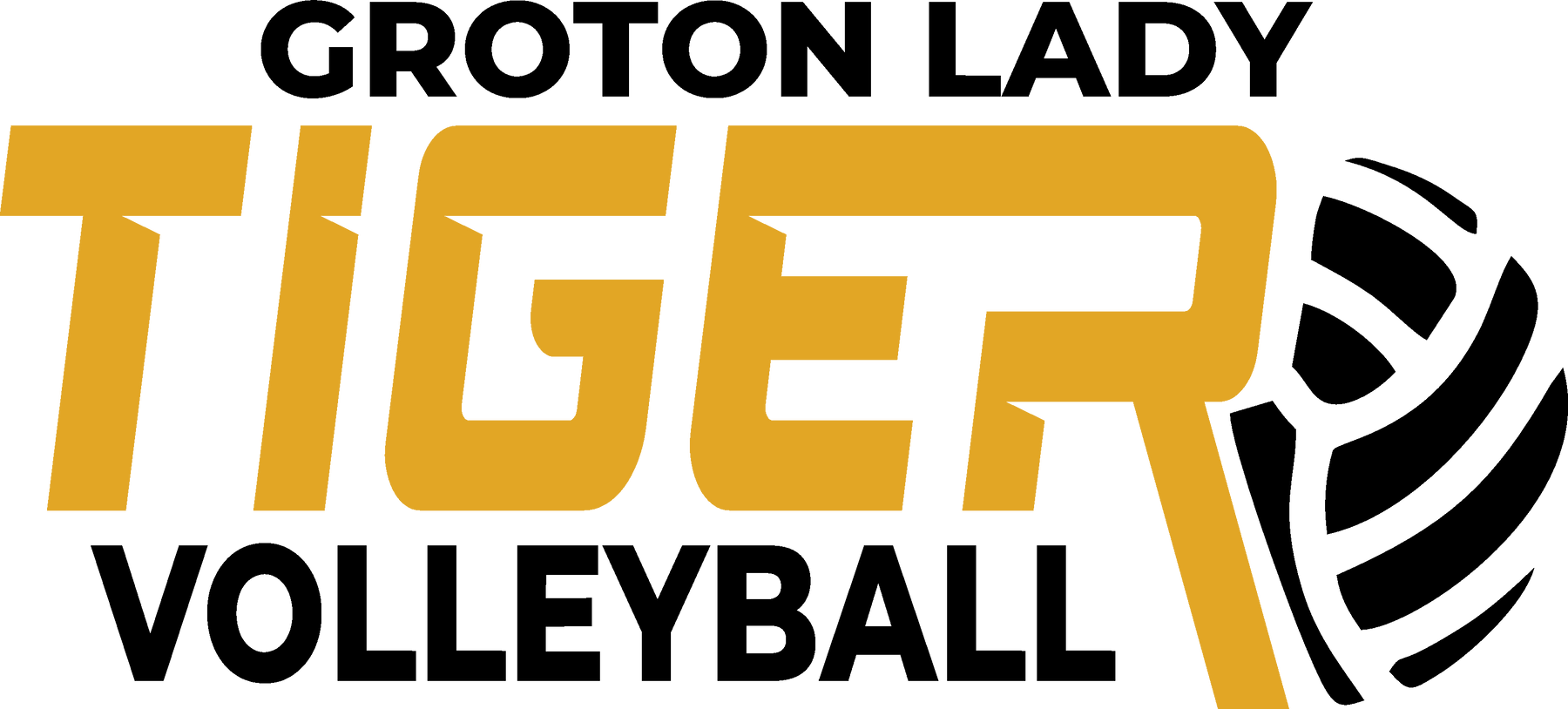 2026 Tigers Volleyball-4 BG