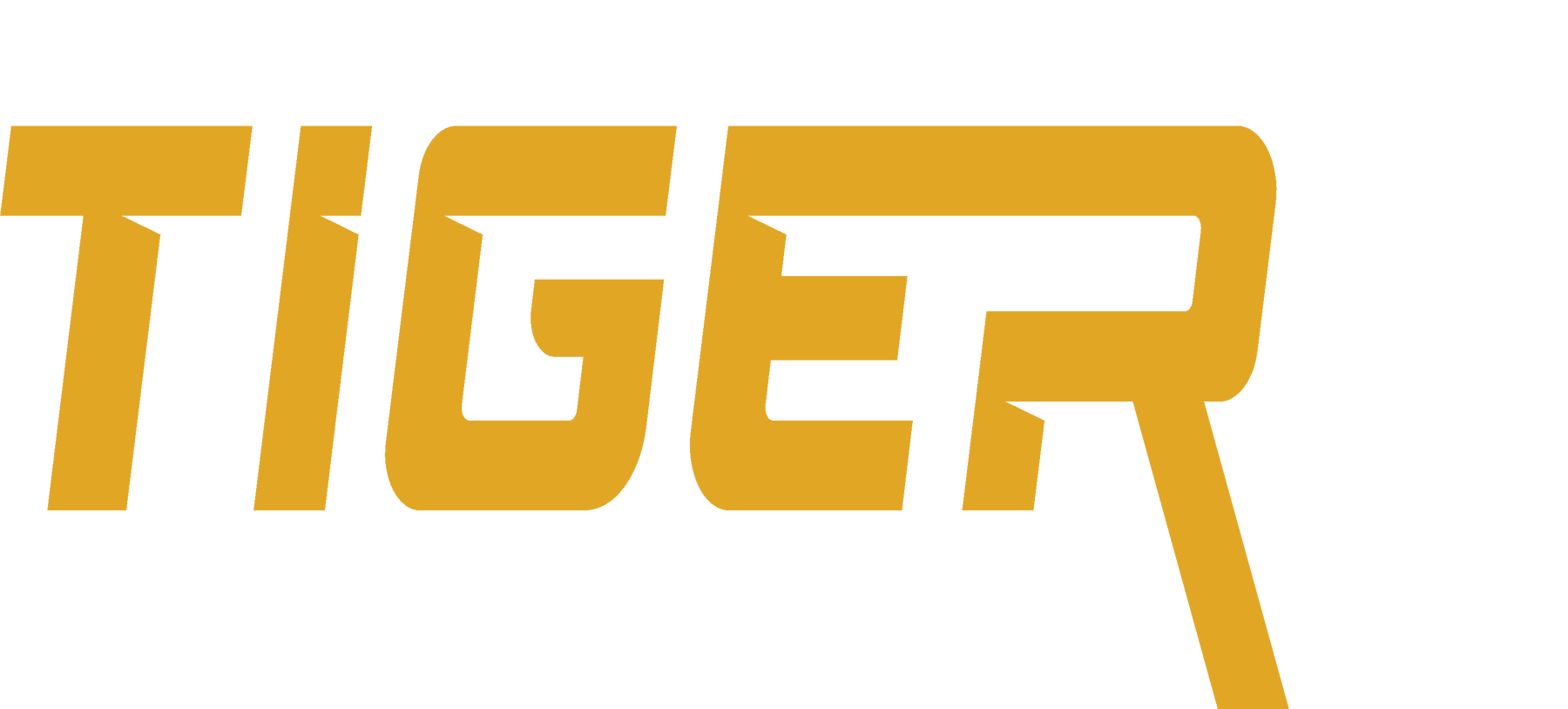 2026 Tigers Volleyball-4 GW
