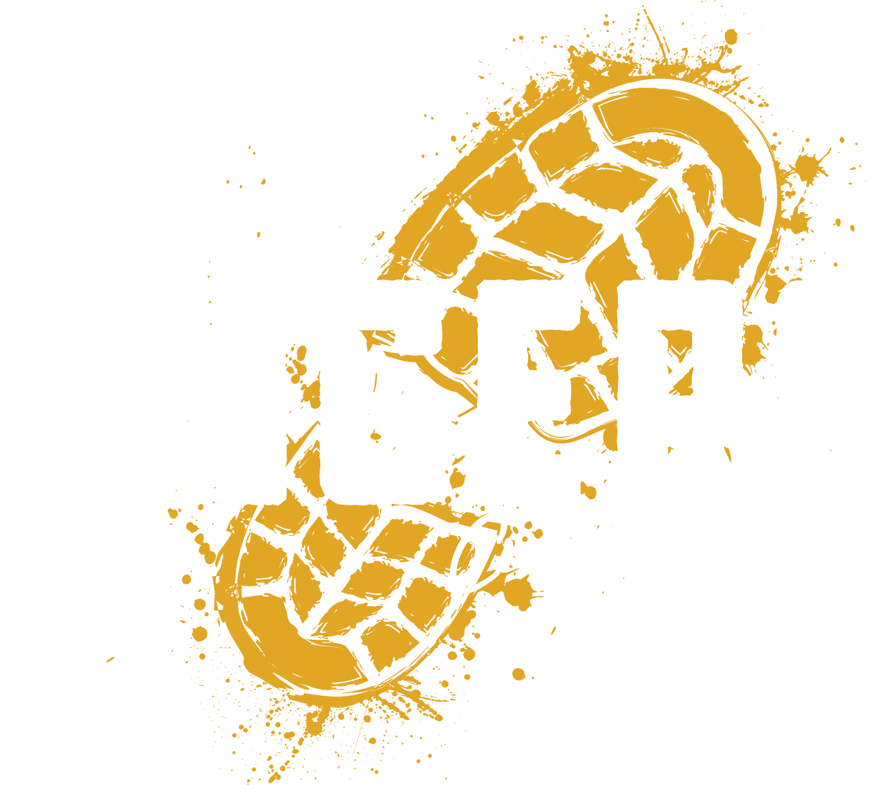 2026 Tigers XC-2 GW